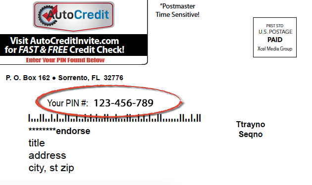 Pin